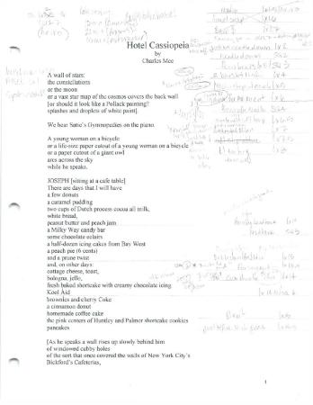 Calling Script from "Hotel Cassiopeia," 2006